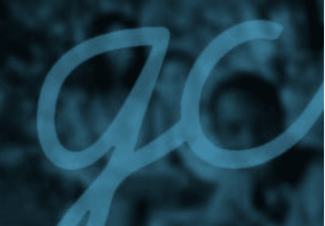 What is the future of democracy, according to our community leaders?